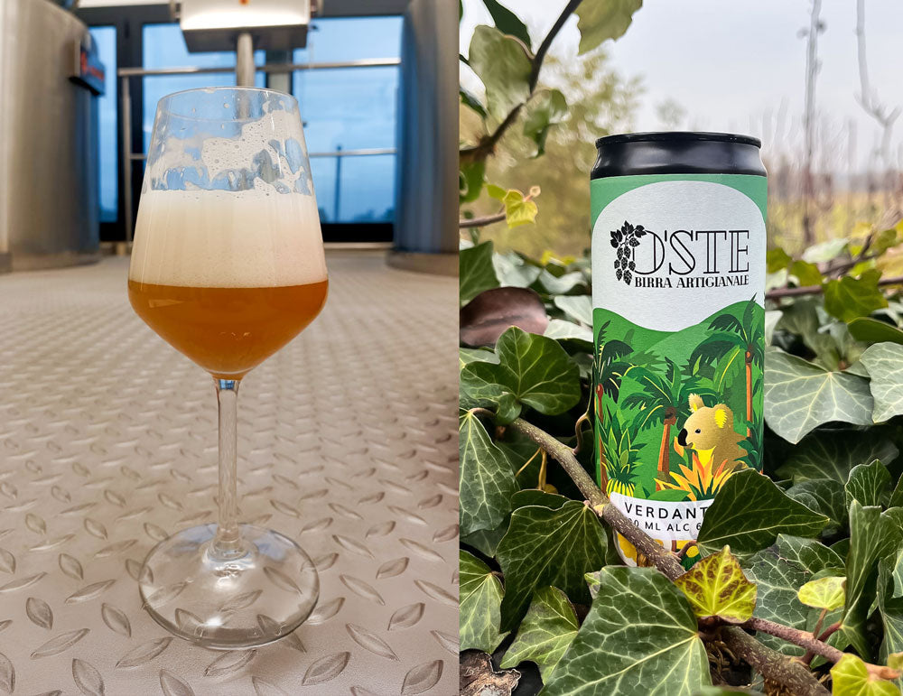 Box degustazione 16 birre artigianali miste: Landbier, Session IPA, Strong Ale, Verdant IPA, Coffee Porter