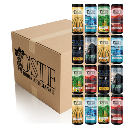 Box degustazione 16 birre artigianali miste