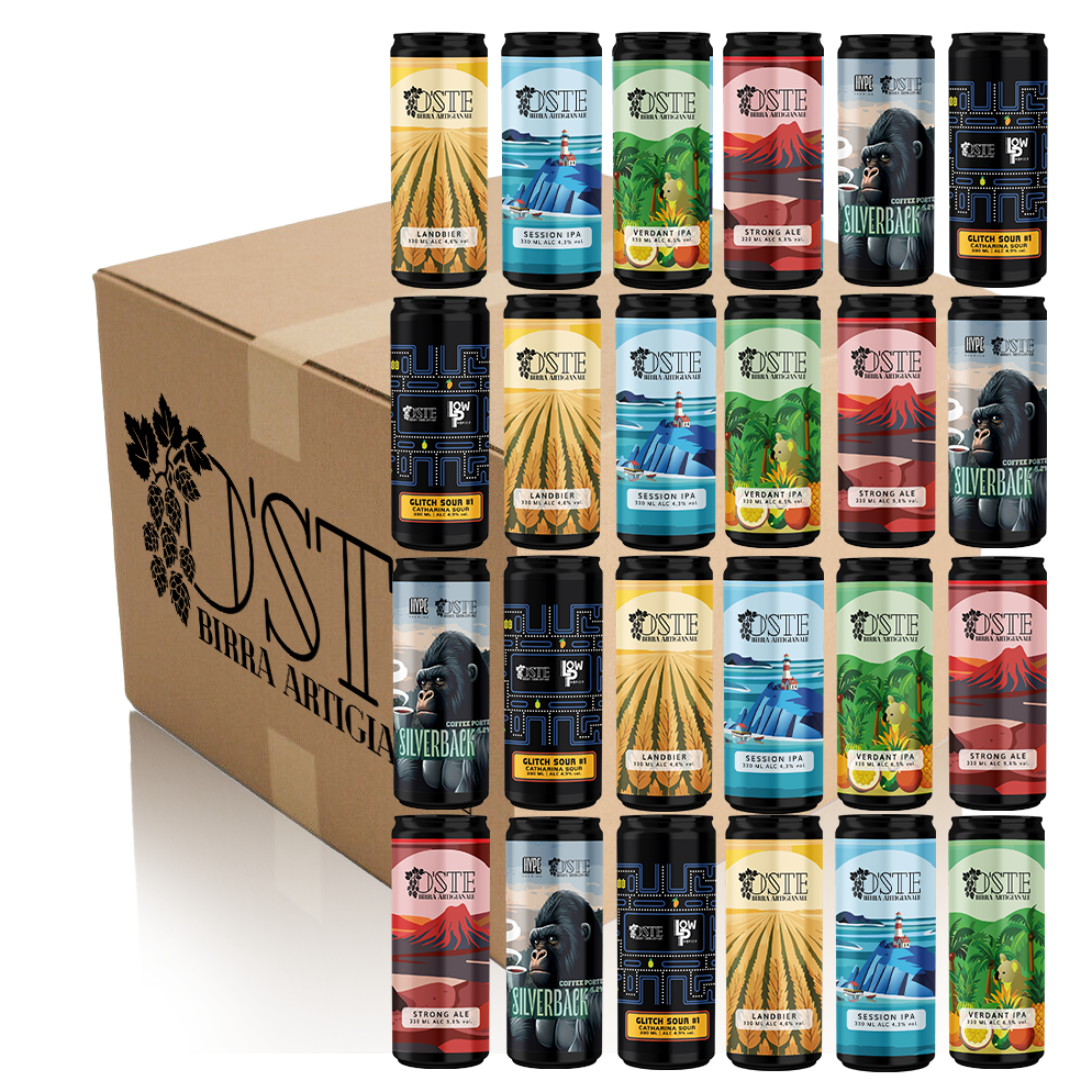 Box degustazione 24 birre artigianali miste
