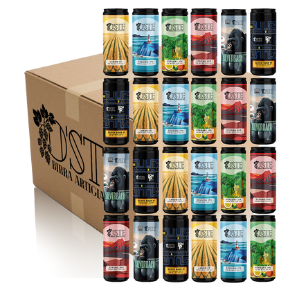 Box degustazione 24 birre artigianali miste