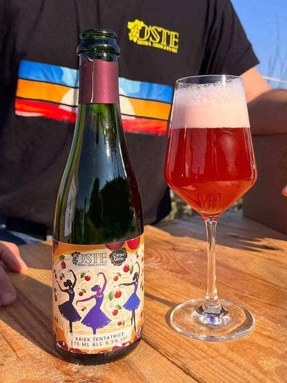 KRIEK ALLE CILIEGIE 375ML | 6,5% - 10PZ - O'Ste Birra Artigianale