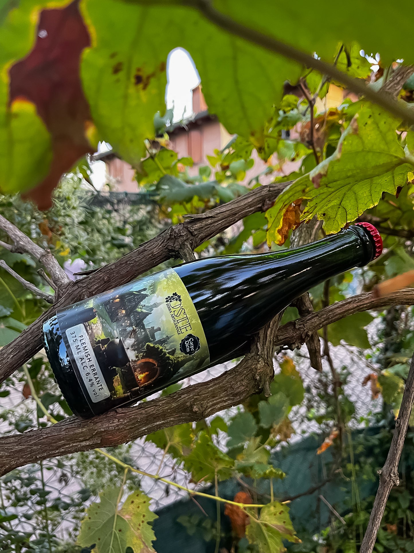 Box degustazione Flemish Errante, birra artigianale Flemish Red Ale