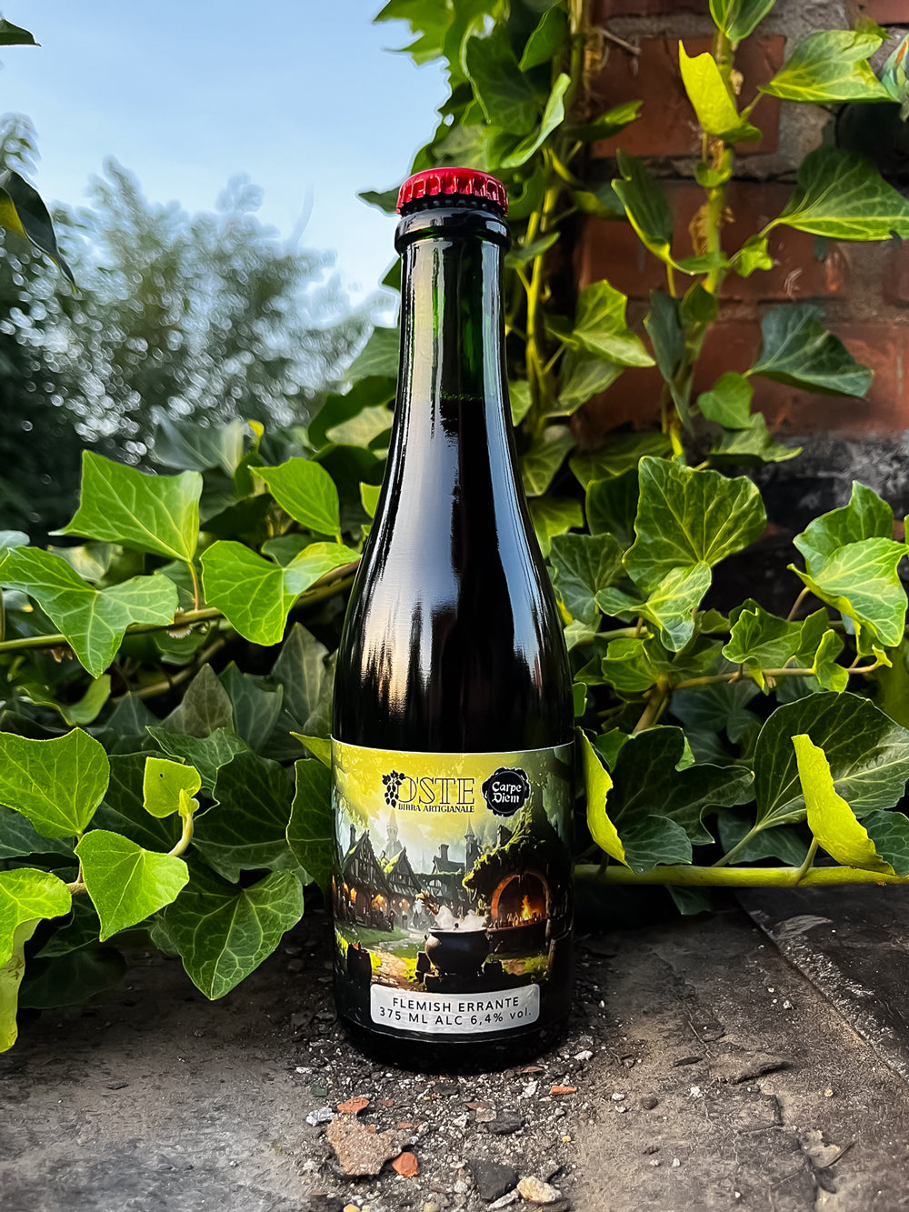 Box degustazione Flemish Errante, birra artigianale Flemish Red Ale